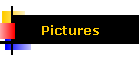 Pictures